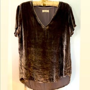 Bella Dahl Shimmery Velvet V-Neck Tee Shirt Taupe Medium